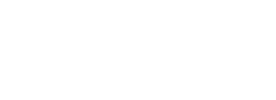 PRAVANA: A New Era of Hair Care Logo